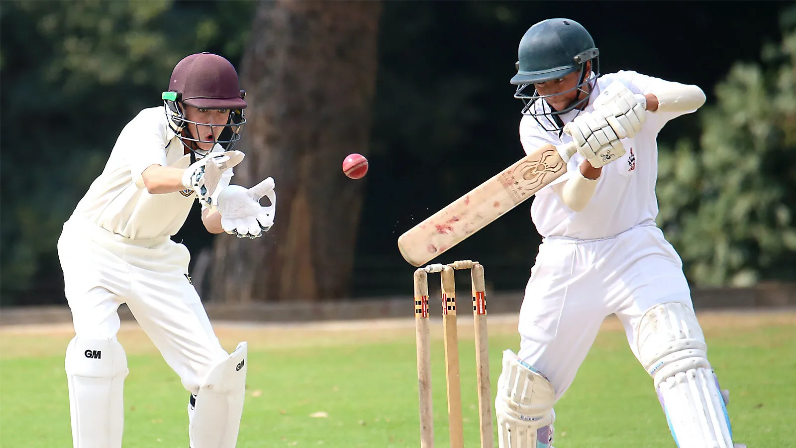 Cricket at Langton Green CSA